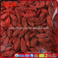 Nutritional supplement fruit goji berry tiny red fruit